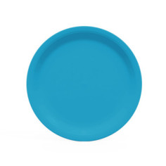 10 assiettes rondes en carton Bleu turquoise - 22 cm