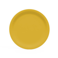 10 assiettes rondes en carton jaunes - 22 cm